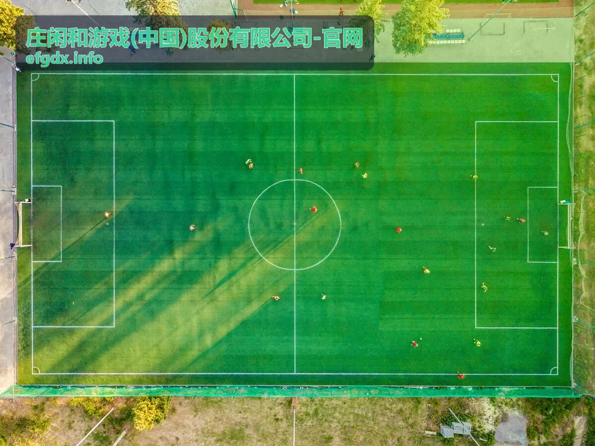 庄闲和游戏 企业责任资讯卡片图
